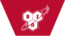 BSN logo